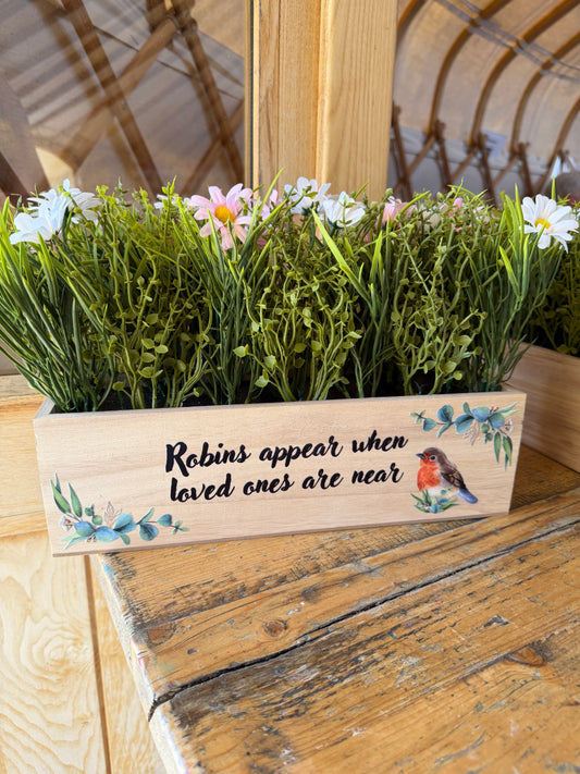 Robins appear when loved ones are near window box with flowers