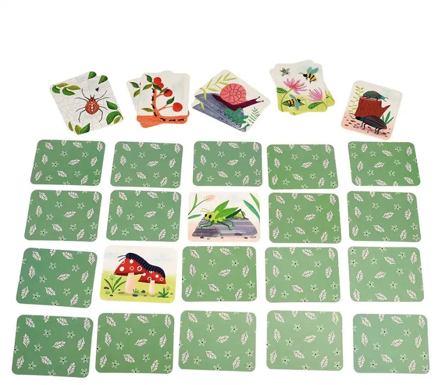 Wonders Of Nature Memory Game