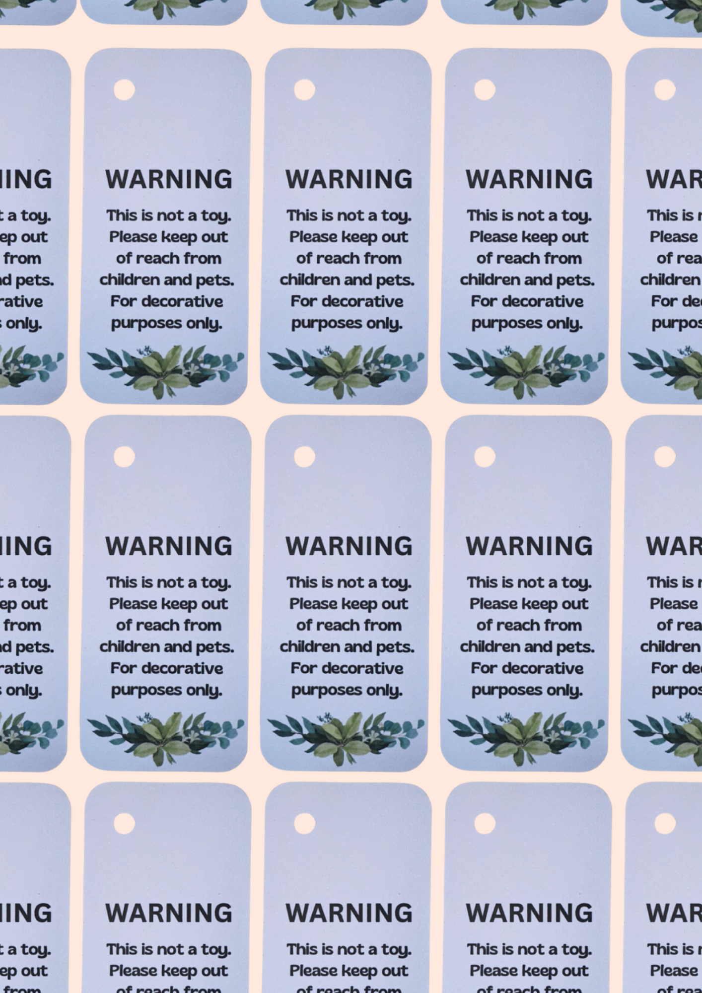 X50 This is not a toy safety labels