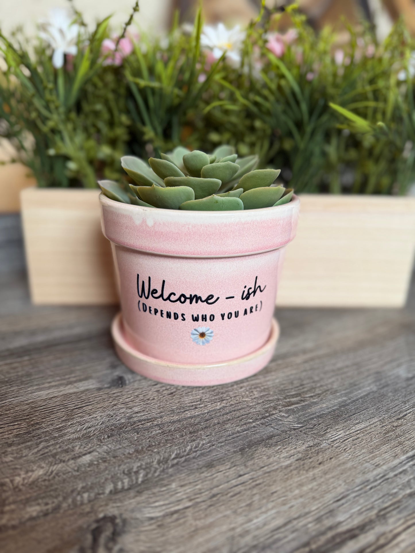 Welcome-ish Pink Plant Pot