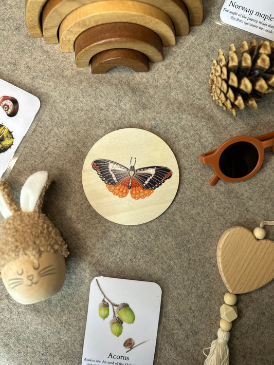 Butterfly Wooden Disc 10cm