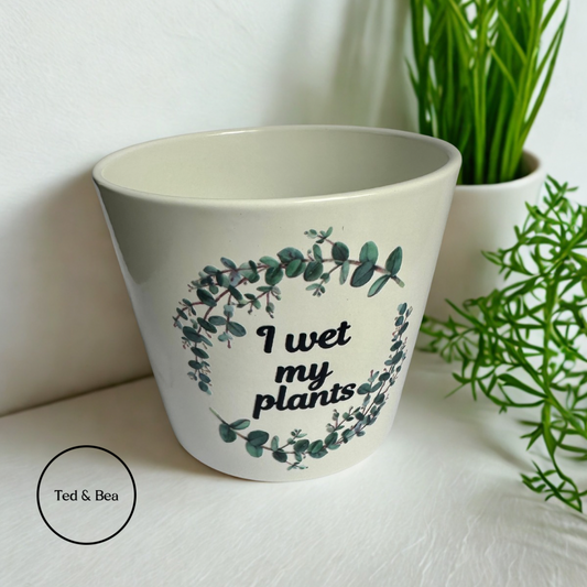 I Wet My Plants Indoor Plant Pot Gift