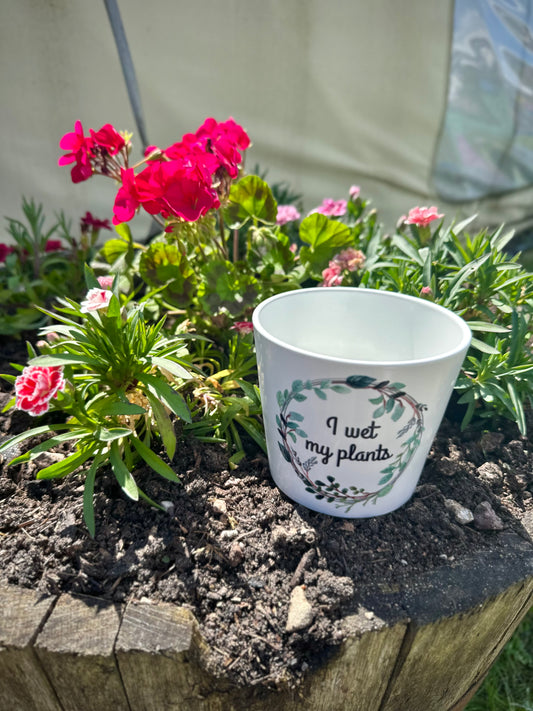 I wet my plants plant pot