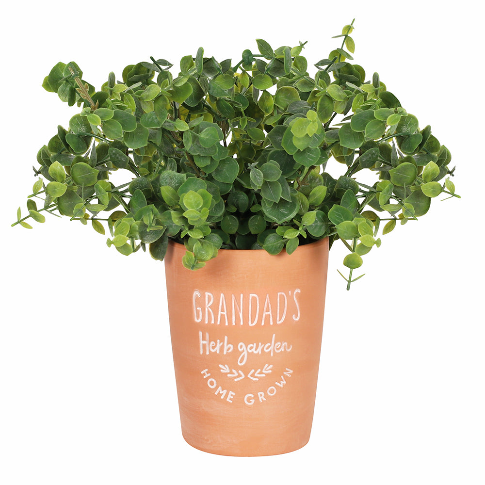Grandad’s garden terracotta plant pot
